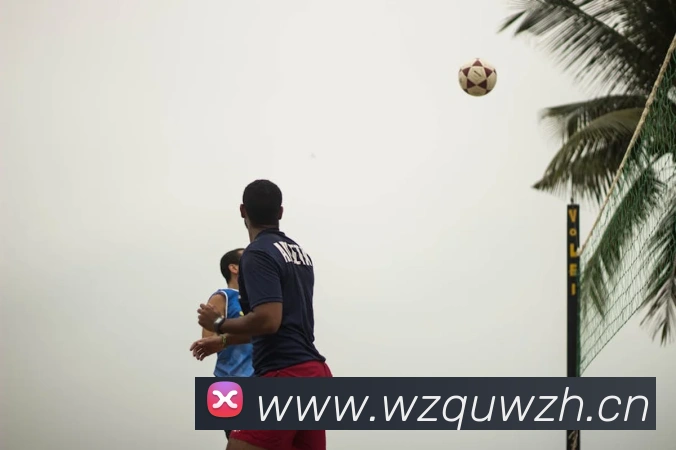 App Interface Preview