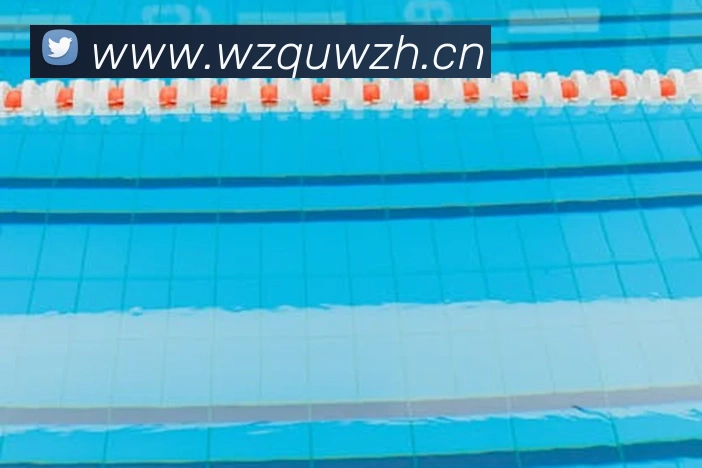 爱游戏ayx官方首页APP 封面图